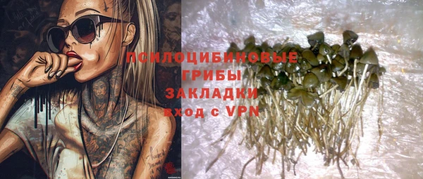 дурь Балахна