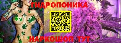 мдма Кимры