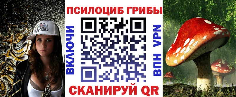 купить наркотики цена Валуйки гидра ONION Псилоцибиновые грибы GOLDEN TEACHER