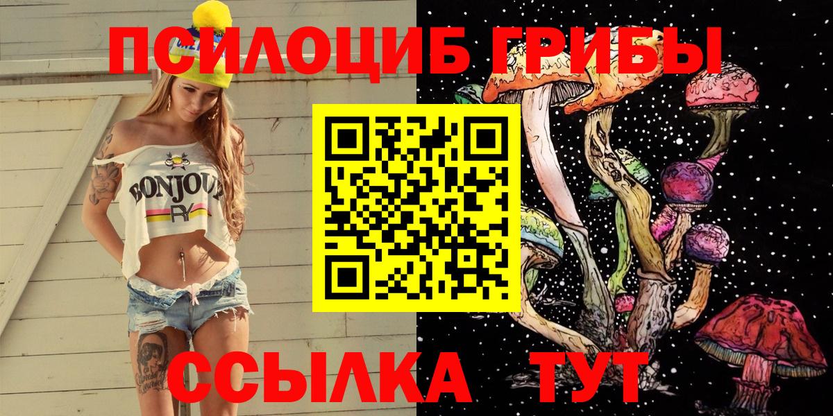 Галлюциногенные грибы Cubensis Валуйки