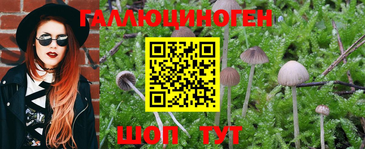 Галлюциногенные грибы Cubensis  Валуйки 