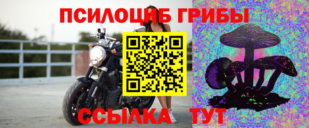 наркотики  Вход с VPN  Валуйки  Галлюциногенные грибы Cubensis  Псилоцибиновые грибы Magic Shrooms 